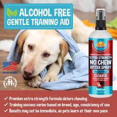 Bodhi Dog spray gros plan buse et texture, application précise et rapide