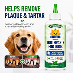Bodhi Dog application au doigtier démontrant facilité d'utilisation et confort