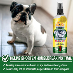 Bodhi Dog détail de la bouteille montrant la buse et la praticité