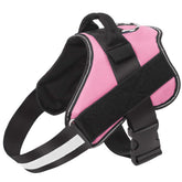 Bolux harnais face avant rose montrant coupe ergonomique et confort