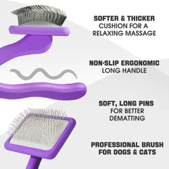 Bonteck gros plan picots de la brosse slicker, démêlage efficace