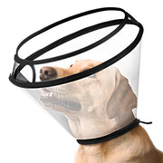 BONTHEE collerette face avant montrant la protection complète du cou