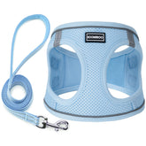 BOOMIBOO harnais face avant ciel montrant le design et l’ajustement confortable