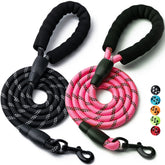 BOOMIBOO laisses noir et rose montrant le pack et la finition résistante