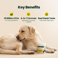 Boops Pets comparaison taille des chews pour dosages et contrôle des portions