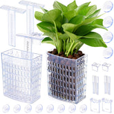 Borlech porte-plante vue face montrant design transparent pour intégration discrète