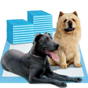 boscute emballage grand format montrant quantité et dimensions, protection longue durée