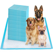 boscute emballage face avant montrant format jumbo et bénéfice protection