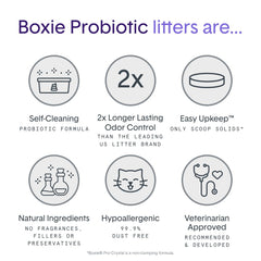 Boxie bac en usage avec chat, maintien de fraîcheur et propreté