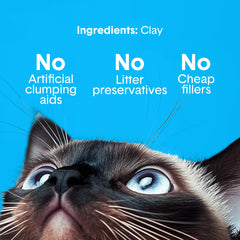 Boxiecat en utilisation dans bac automatique montrant compatibilité pratique