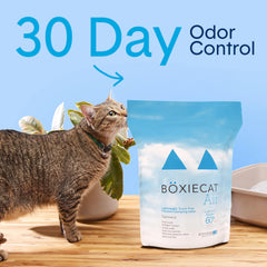 Boxiecat gros plan sur granules illustrant texture légère et agglomération