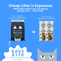 BoxiePro motte solide tenue compacte pour ramassage rapide