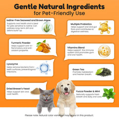 BoxZone poudre sur croquettes améliorant goût et fraîcheur de l'haleine