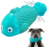 BoYoYo jouet poisson clown face avant montrant robustesse et design attractif