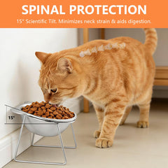 BOYXIENQ gamelles en usage chat montrant posture de repas plus confortable