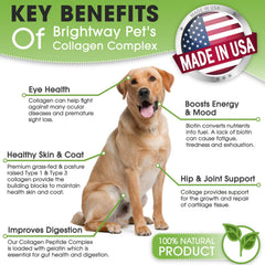 Brightway Pets poudre mélangée à la nourriture pour un apport facile au chien