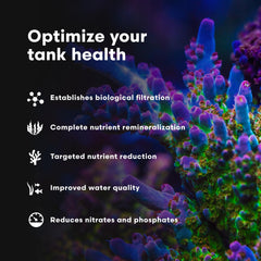 Brightwell Aquatics MicroBacter7 ajout de produit dans aquarium, améliore filtration