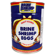 Brine Shrimp Direct boîte face montrant 16 oz et couvercle refermable pour stockage pratique