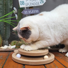 Britepaws gros plan du sisal résistant pour une griffade durable