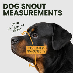 BRONZEDOG gros plan néoprène nez pour confort et protection