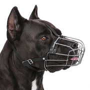 BRONZEDOG muselière panier XL vue de face montrant maintien sûr