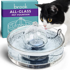 Brook fontaine en verre vue de face, design élégant et hygiène visible
