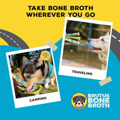 Brutus Bone Broth préparation dans un bol pour hydrater croquettes rapidement