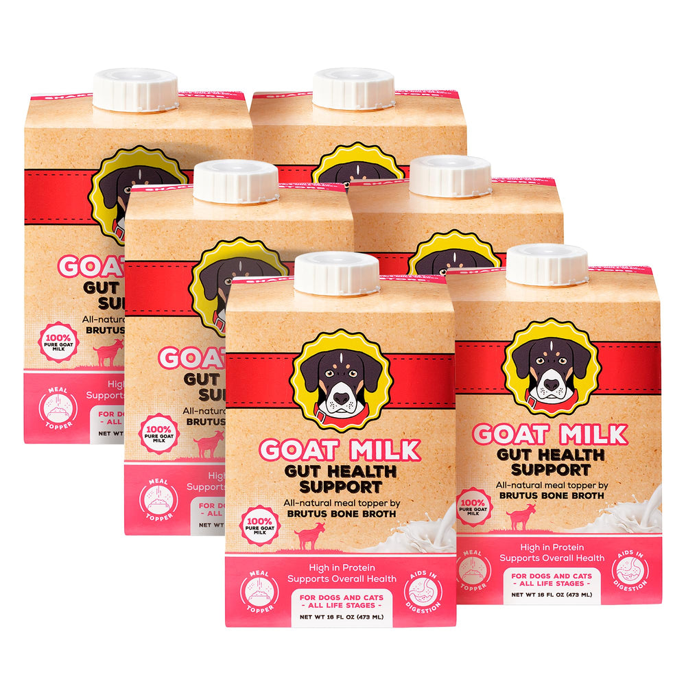 Brutus Bone Broth emballage avant montrant format pack de 6 et bénéfice hydratation
