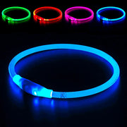 BSEEN collier face visible la nuit pour sécurité accrue