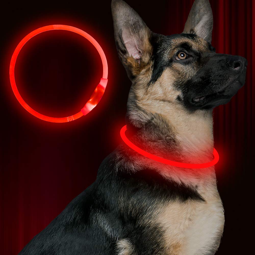 BSEEN collier LED face avant montrant le design et la couleur pour sécurité