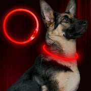 BSEEN collier LED face avant montrant le design et la couleur pour sécurité