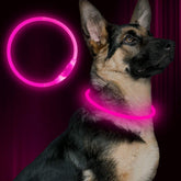 BSEEN collier LED face avant montrant la bande lumineuse pour meilleure visibilité