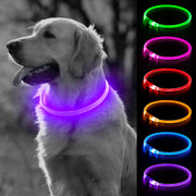 BSEEN collier LED face avant montrant visibilité accrue