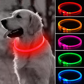 BSEEN collier lumineux face avant montrant le design rouge et la visibilité