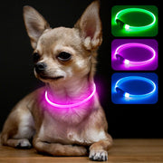 BSEEN collier lumineux face avant montrant visibilité 360°