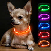 BSEEN collier lumineux face montrant visibilité accrue