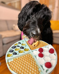 BUDDY BUDDER lickmat en action favorisant stimulation et occupation canine