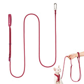 BuddyArmor laisse bordeaux vue frontale, design mains libres pratique