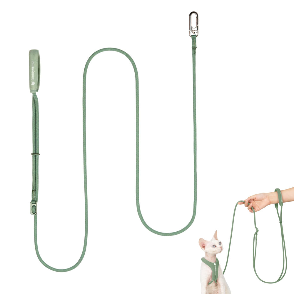 BuddyArmor laisse olive montrée sur l'emballage, présentation claire et compacte