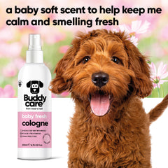 Buddycare brume sur pelage illustrant texture légère et effet non gras