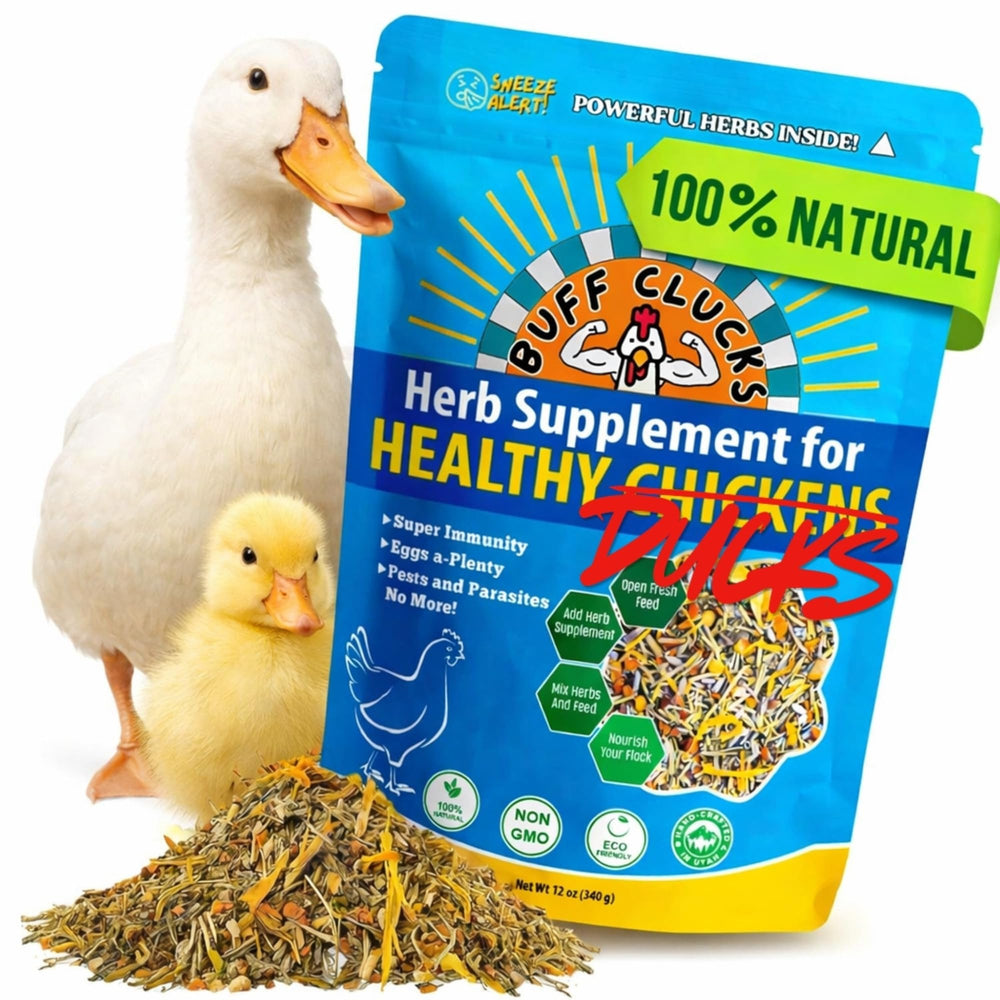 Buff Clucks emballage avant montrant le sachet prêt à l'emploi et bénéfice naturel