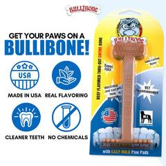 Bullibone os à côté d'un petit chien montrant taille adaptée