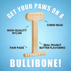 Bullibone os en usage avec chien assurant mastication durable et sûre