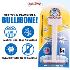 Bullibone chien en train de mordre démontrant résistance et engagement