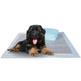 BV emballage avant montrant 40 tapis, garde la maison propre