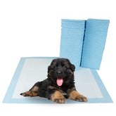 BV tapis face avant emballage montrant 50 unités et dimensions, protection pratique