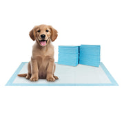 BV tapis XXL avant emballage montrant quantité et format pratique