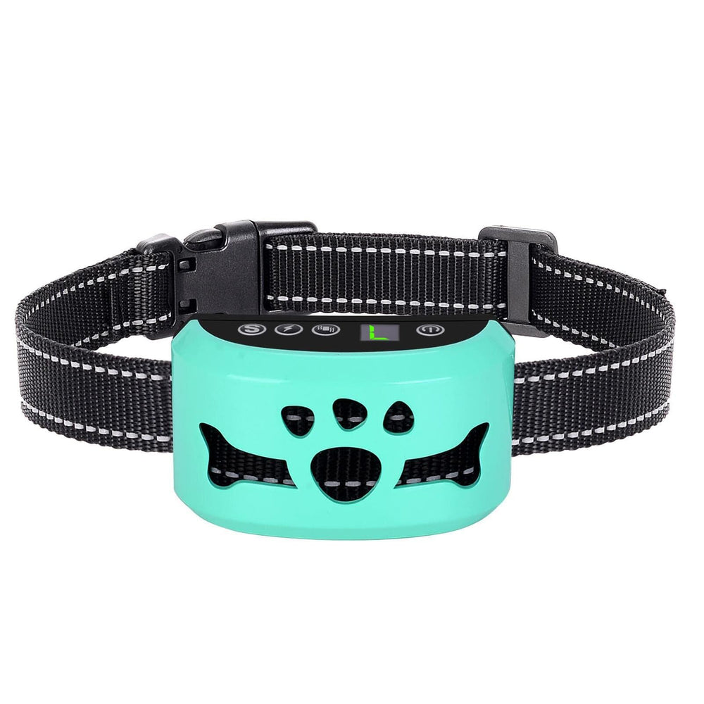 BXQ collier anti-aboiement face avant montrant design os pratique et ergonomique