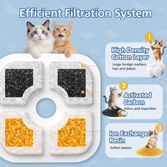 Caehomly coupe transversale du filtre montrant couches de filtration efficaces