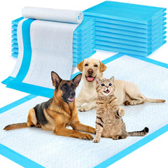 CAHUDIKIC emballage de 100 tapis protecteurs pour économies